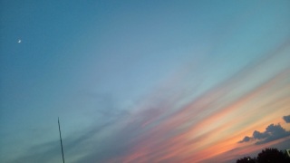 (untitled)