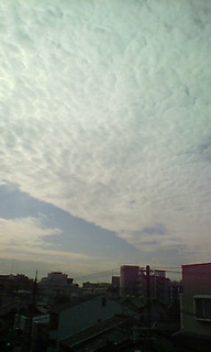 (untitled)