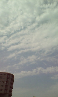 (untitled)