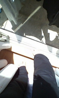 �ЂȂ��ڂ����B