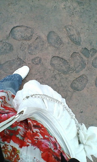 JURASSK PARK�ɂāB