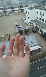 (untitled)