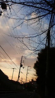 (untitled)