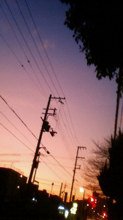 (untitled)