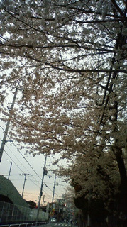 (untitled)