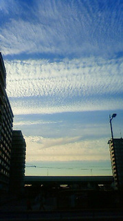 (untitled)
