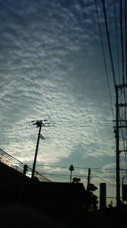 (untitled)